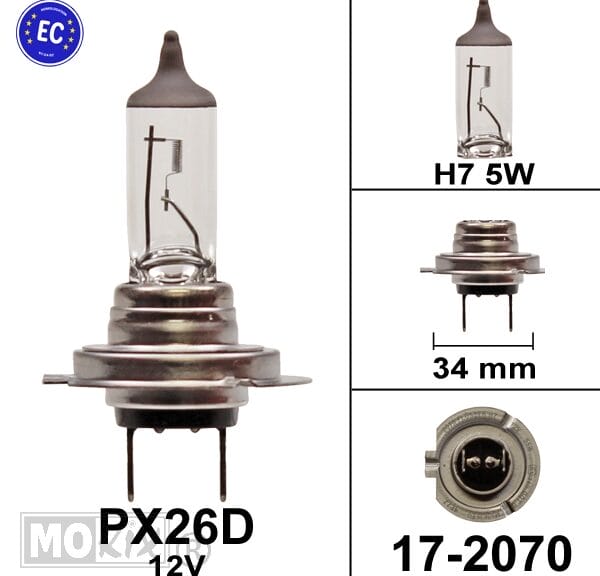 17-2070 LAMP PX26D H7 12V 55W FLOSSER CE keur (1)