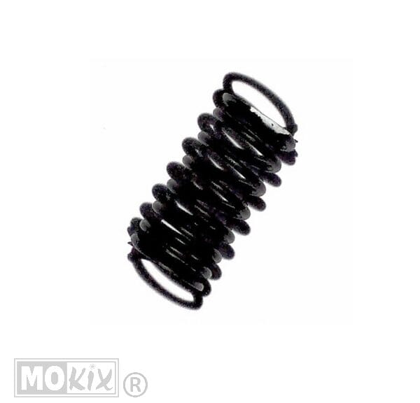 32659 CHI VALVE IN.SPRING 4T GY6 125cc