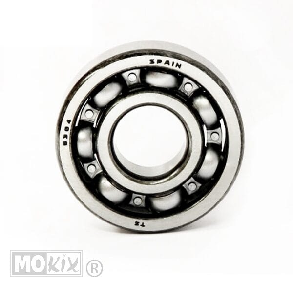 4215 LAGER SKF 30-55-13 6006 (1)