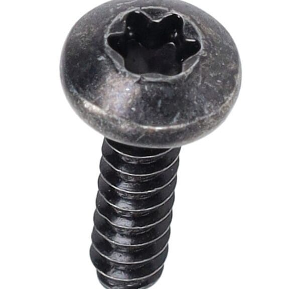 bout Peugeot origineel torx 4x16 past op django